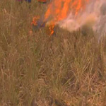 destruction of straw and stubbles